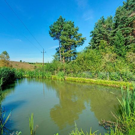 Zajazd Pod Sosnami Berezka Esterno foto